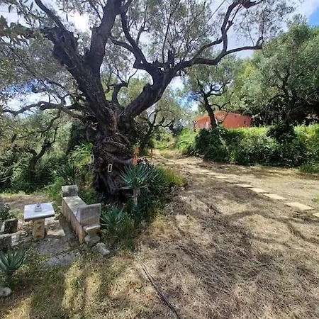 El Paradiso בית נופש