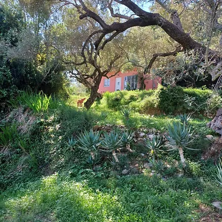 El Paradiso בית נופש