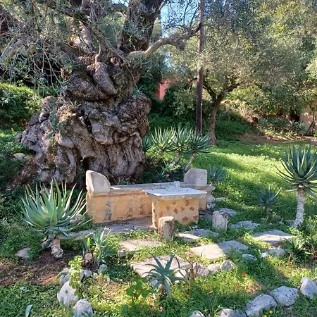 El Paradiso בית נופש