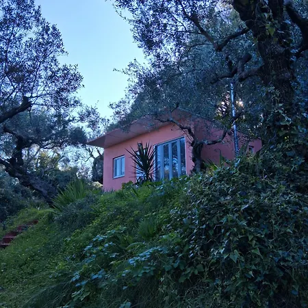 El Paradiso Akrotiri (Zakynthos)