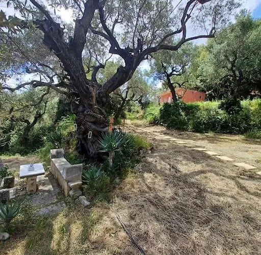 El Paradiso Semesterbostad