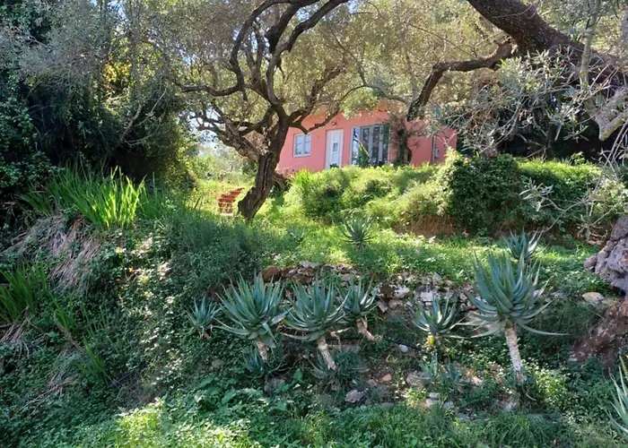 El Paradiso Semesterbostad