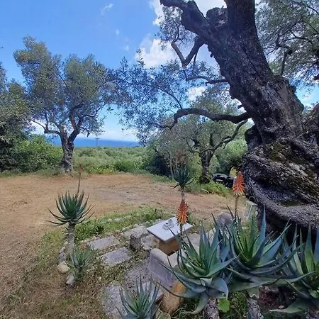 Сasa de vacaciones El Paradiso *