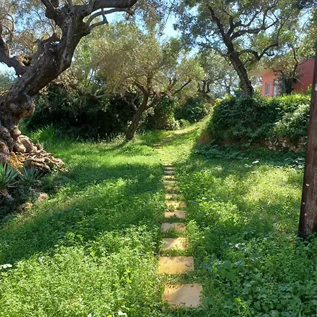 El Paradiso