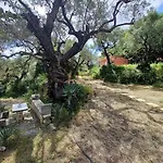 El Paradiso 別荘