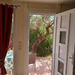 El Paradiso