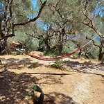 El Paradiso *