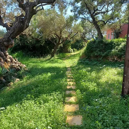 El Paradiso