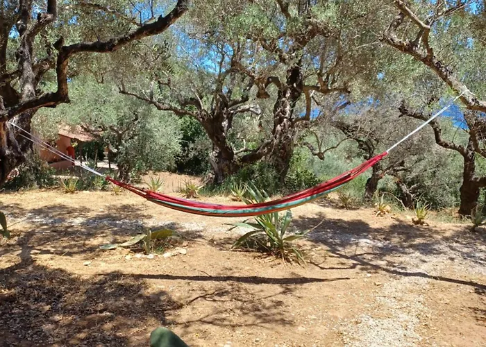 El Paradiso *