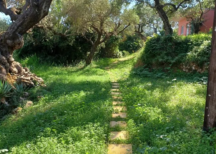 El Paradiso